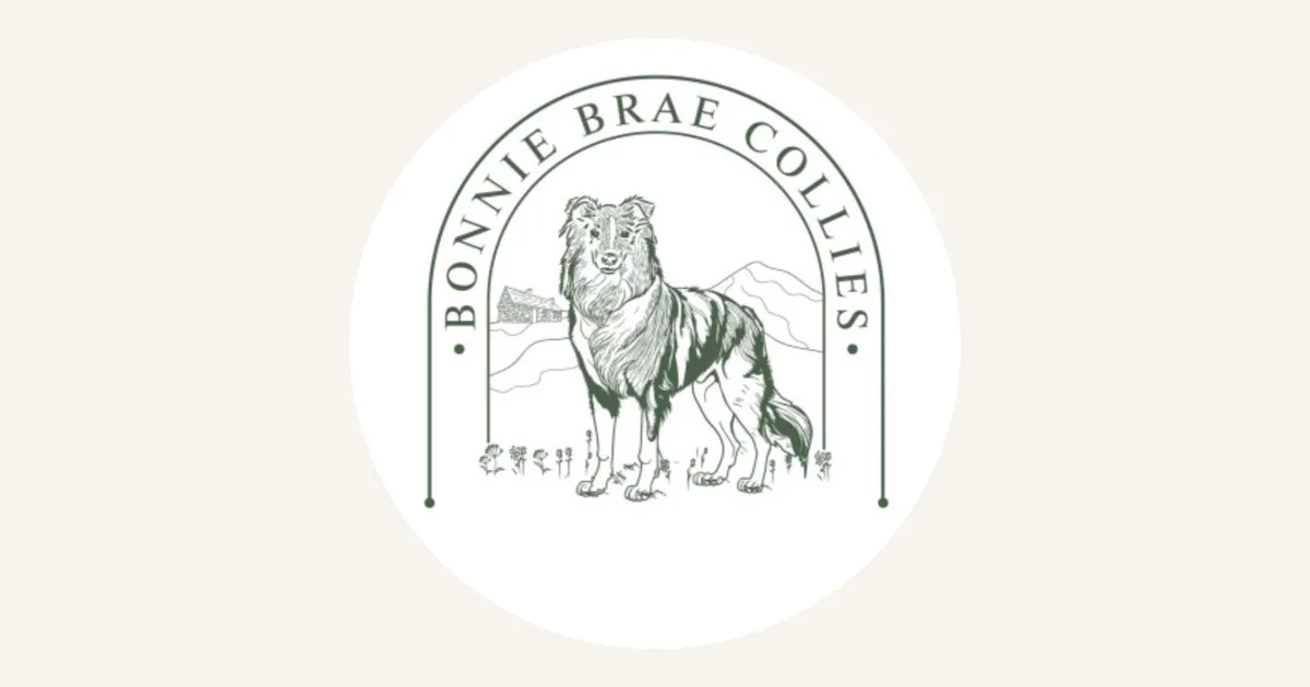 Bonnie Brae Collies